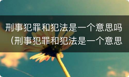 刑事犯罪和犯法是一个意思吗（刑事犯罪和犯法是一个意思吗）