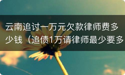 云南追讨一万元欠款律师费多少钱（追债1万请律师最少要多少钱）
