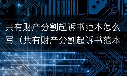 共有财产分割起诉书范本怎么写（共有财产分割起诉书范本怎么写图片）