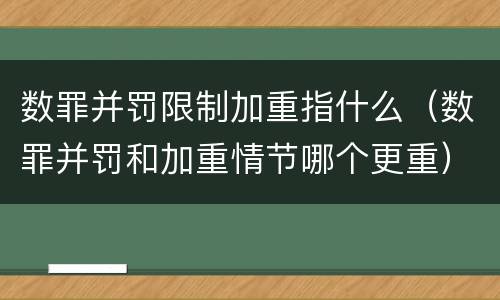 数罪并罚限制加重指什么（数罪并罚和加重情节哪个更重）