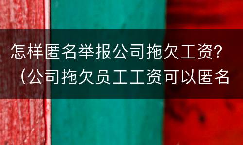 怎样匿名举报公司拖欠工资？（公司拖欠员工工资可以匿名举报吗）