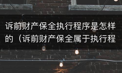 诉前财产保全执行程序是怎样的（诉前财产保全属于执行程序吗）