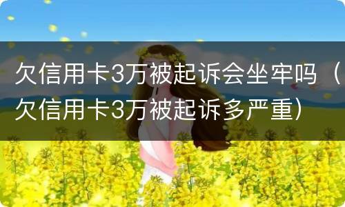 欠信用卡3万被起诉会坐牢吗（欠信用卡3万被起诉多严重）