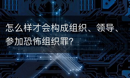 怎么样才会构成组织、领导、参加恐怖组织罪？