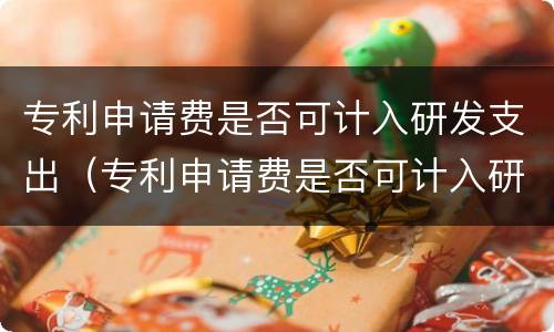 专利申请费是否可计入研发支出（专利申请费是否可计入研发支出成本）
