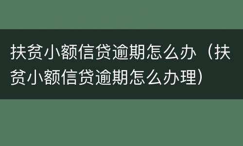 扶贫小额信贷逾期怎么办（扶贫小额信贷逾期怎么办理）