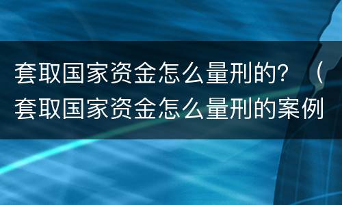 套取国家资金怎么量刑的？（套取国家资金怎么量刑的案例）