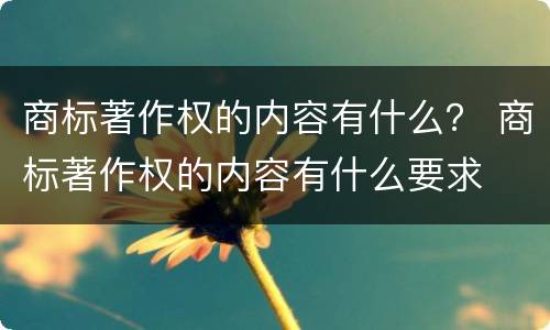 商标著作权的内容有什么？ 商标著作权的内容有什么要求