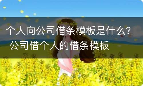 个人向公司借条模板是什么？ 公司借个人的借条模板