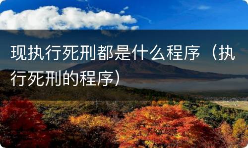 现执行死刑都是什么程序（执行死刑的程序）