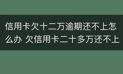 信用卡欠十二万逾期还不上怎么办 欠信用卡二十多万还不上怎么办