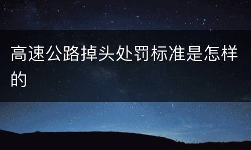 高速公路掉头处罚标准是怎样的