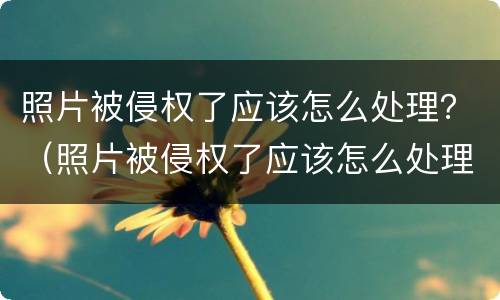 照片被侵权了应该怎么处理？（照片被侵权了应该怎么处理好）