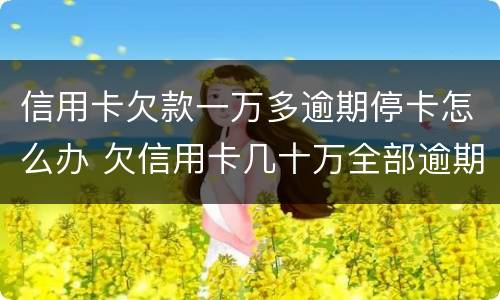 信用卡欠款一万多逾期停卡怎么办 欠信用卡几十万全部逾期还不了怎么办