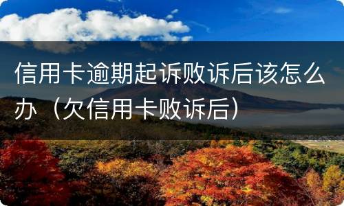 信用卡逾期起诉败诉后该怎么办（欠信用卡败诉后）