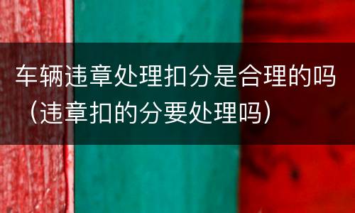 车辆违章处理扣分是合理的吗（违章扣的分要处理吗）