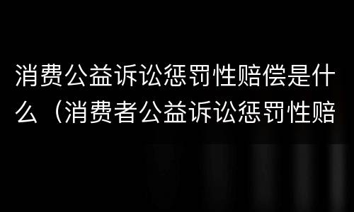 消费公益诉讼惩罚性赔偿是什么（消费者公益诉讼惩罚性赔偿法律适用）