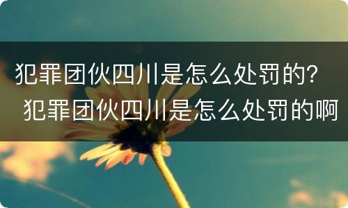 犯罪团伙四川是怎么处罚的？ 犯罪团伙四川是怎么处罚的啊