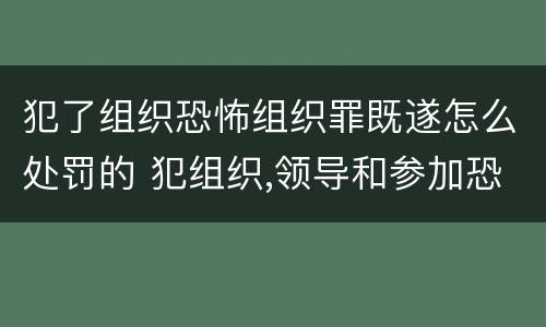 犯了组织恐怖组织罪既遂怎么处罚的 犯组织,领导和参加恐怖活动组织罪