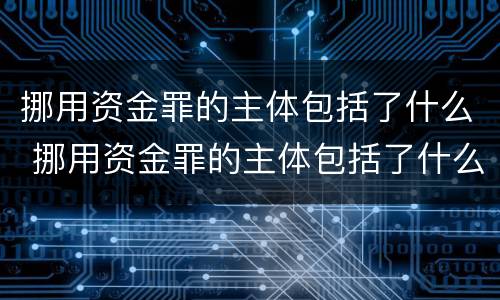 挪用资金罪的主体包括了什么 挪用资金罪的主体包括了什么