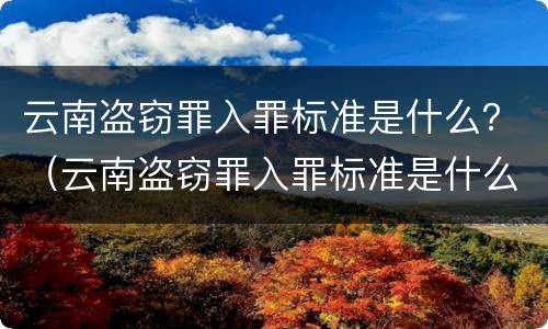 云南盗窃罪入罪标准是什么？（云南盗窃罪入罪标准是什么呢）