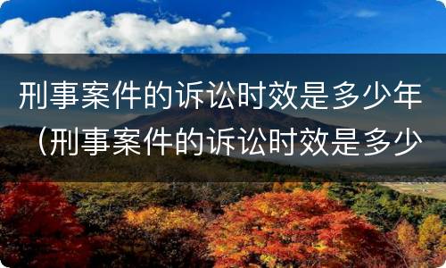 刑事案件的诉讼时效是多少年（刑事案件的诉讼时效是多少年内）