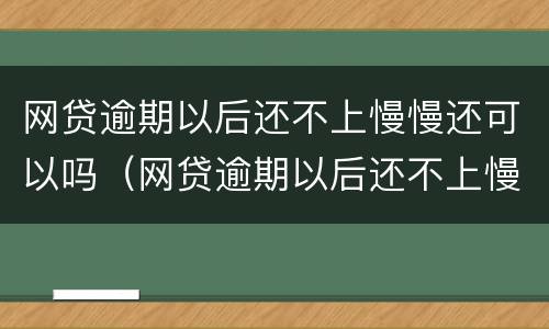 网贷逾期以后还不上慢慢还可以吗（网贷逾期以后还不上慢慢还可以吗）