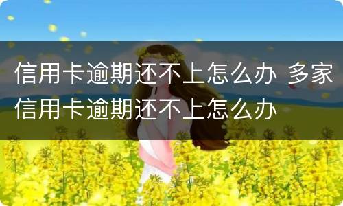 信用卡逾期还不上怎么办 多家信用卡逾期还不上怎么办