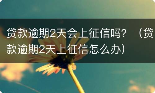 贷款逾期2天会上征信吗？（贷款逾期2天上征信怎么办）