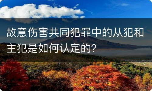 故意伤害共同犯罪中的从犯和主犯是如何认定的？