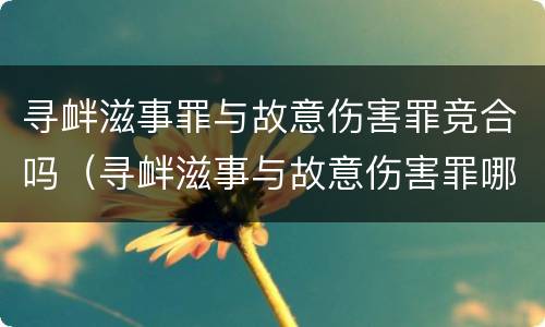 寻衅滋事罪与故意伤害罪竞合吗（寻衅滋事与故意伤害罪哪个更重有什么区别）