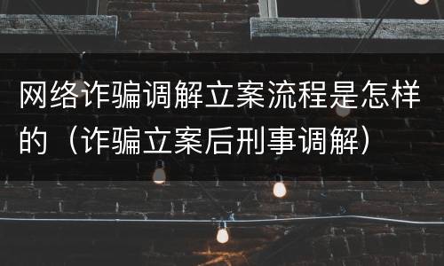 网络诈骗调解立案流程是怎样的（诈骗立案后刑事调解）