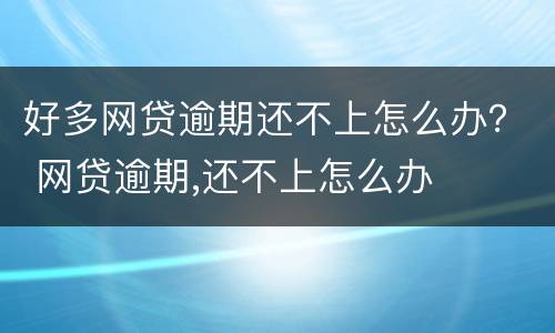 好多网贷逾期还不上怎么办？ 网贷逾期,还不上怎么办