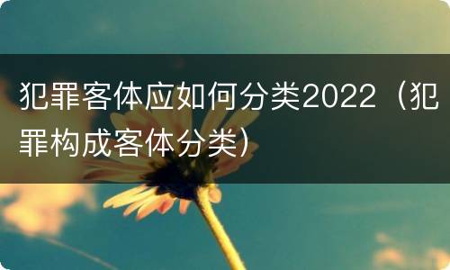 犯罪客体应如何分类2022（犯罪构成客体分类）