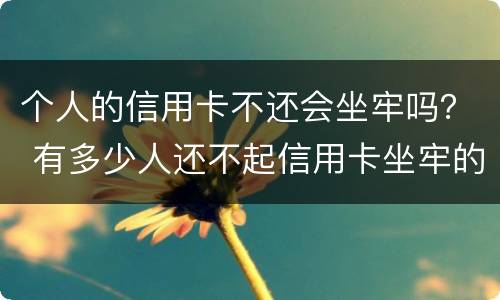 个人的信用卡不还会坐牢吗？ 有多少人还不起信用卡坐牢的