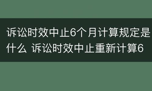 诉讼时效中止6个月计算规定是什么 诉讼时效中止重新计算6个月