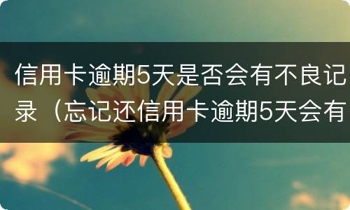 信用卡逾期5天是否会有不良记录（忘记还信用卡逾期5天会有不良记录吗）
