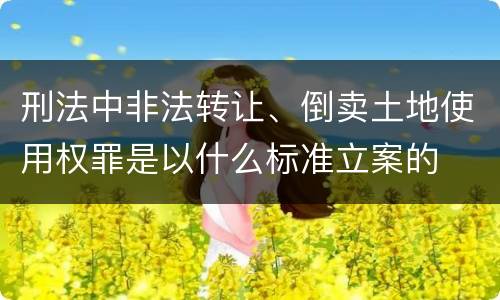 刑法中非法转让、倒卖土地使用权罪是以什么标准立案的