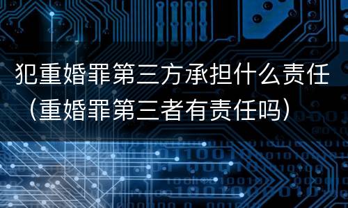 犯重婚罪第三方承担什么责任（重婚罪第三者有责任吗）