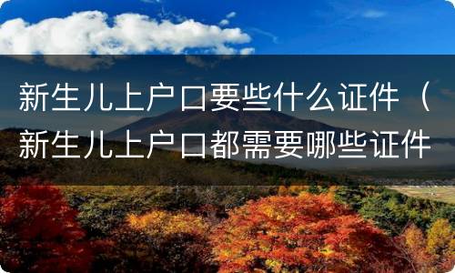 新生儿上户口要些什么证件（新生儿上户口都需要哪些证件）