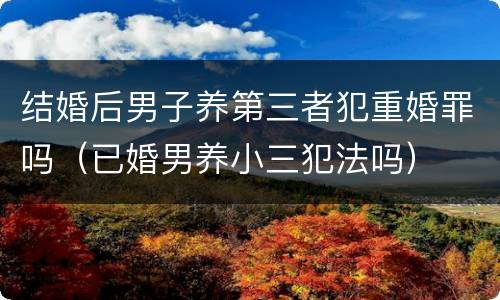 结婚后男子养第三者犯重婚罪吗（已婚男养小三犯法吗）