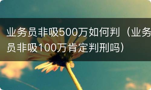 业务员非吸500万如何判（业务员非吸100万肯定判刑吗）