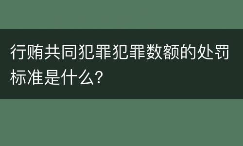 行贿共同犯罪犯罪数额的处罚标准是什么？