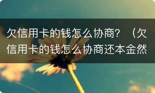 欠信用卡的钱怎么协商？（欠信用卡的钱怎么协商还本金然后削卡）