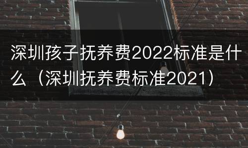 深圳孩子抚养费2022标准是什么（深圳抚养费标准2021）