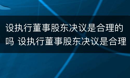 设执行董事股东决议是合理的吗 设执行董事股东决议是合理的吗