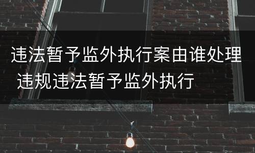 违法暂予监外执行案由谁处理 违规违法暂予监外执行