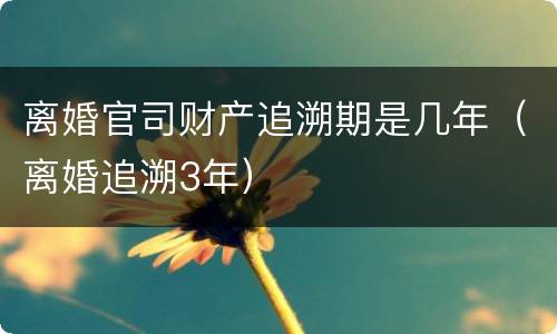 离婚官司财产追溯期是几年（离婚追溯3年）