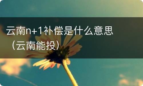 云南n+1补偿是什么意思（云南能投）