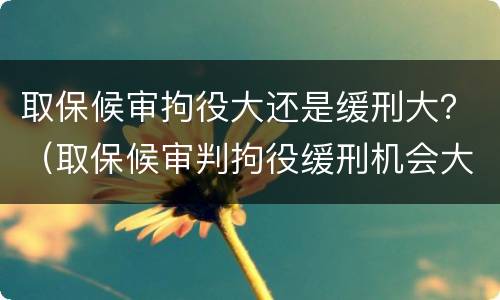 取保候审拘役大还是缓刑大？（取保候审判拘役缓刑机会大吗）